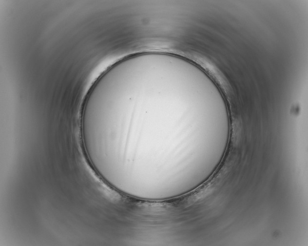 X0000089941432200707271809
