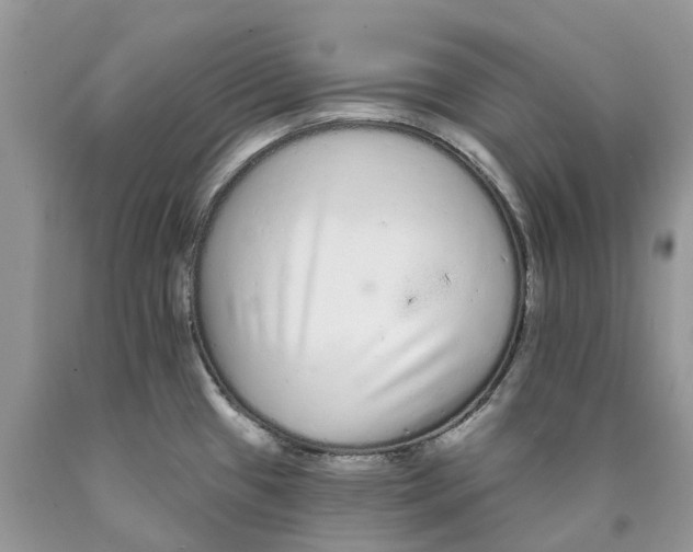 X0000089941433200707271809