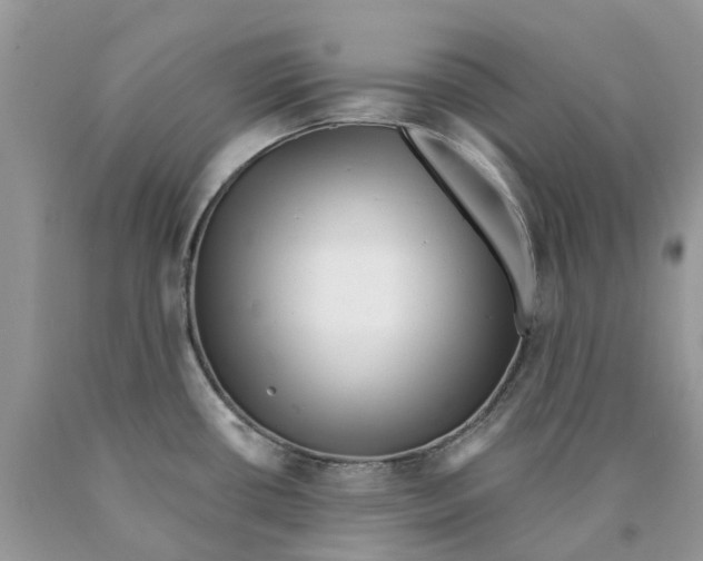 X0000089941434200707271809