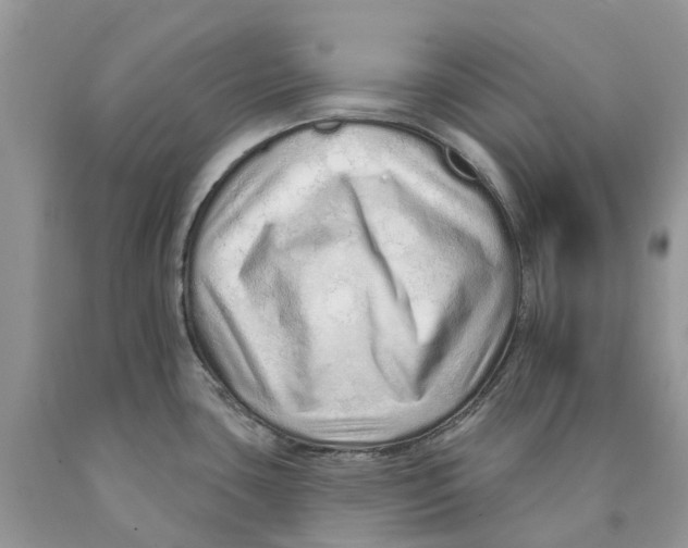 X0000089941435200707271809