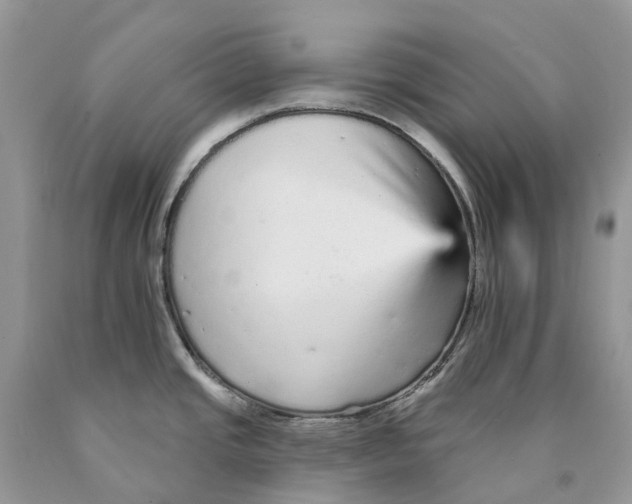 X0000089941437200707271809