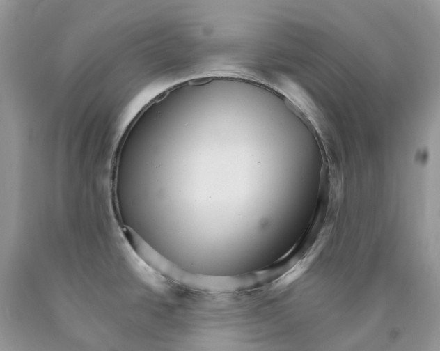 X0000089941438200707271809
