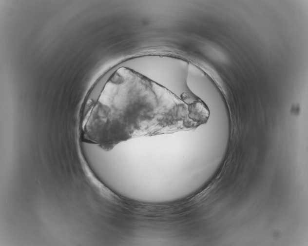 X0000089941439200707271809