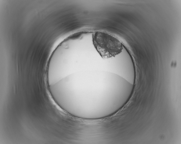 X0000089941440200707271809