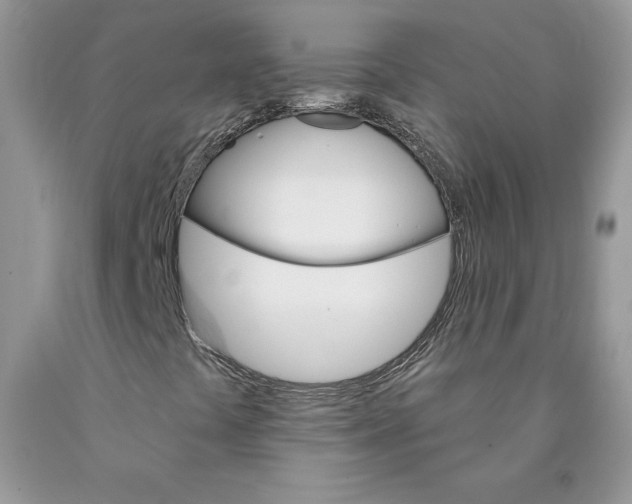 X0000089941441200707271809