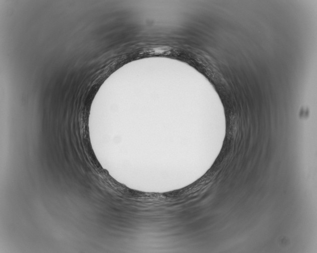 X0000089941442200707271809