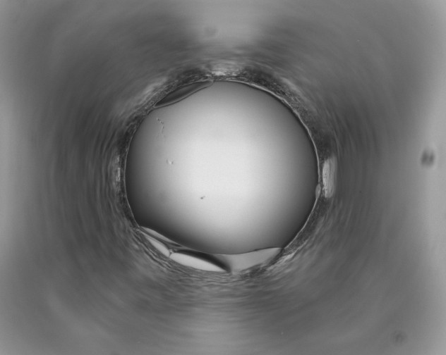 X0000089941443200707271809