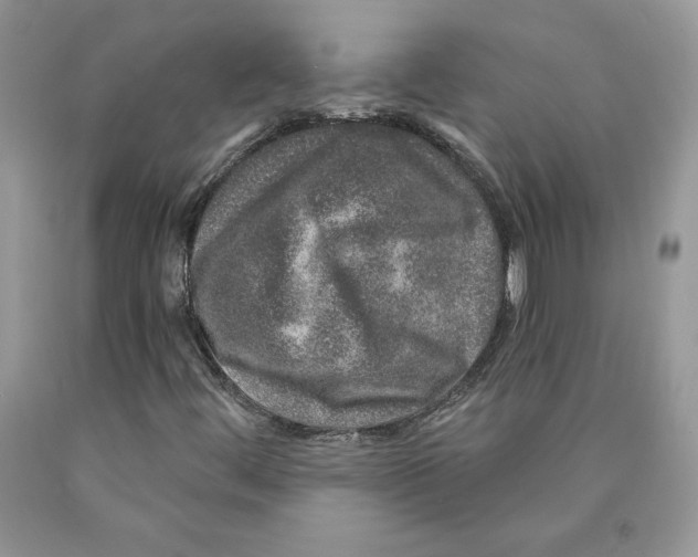X0000089941444200707271809