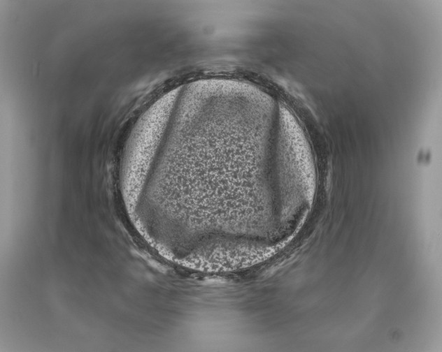 X0000089941445200707271809