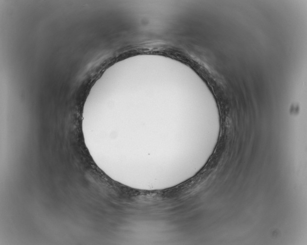 X0000089941447200707271809