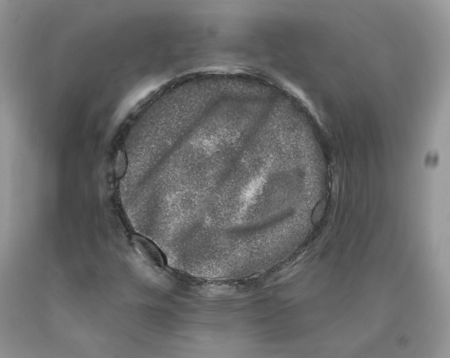 X0000089941448200707271809