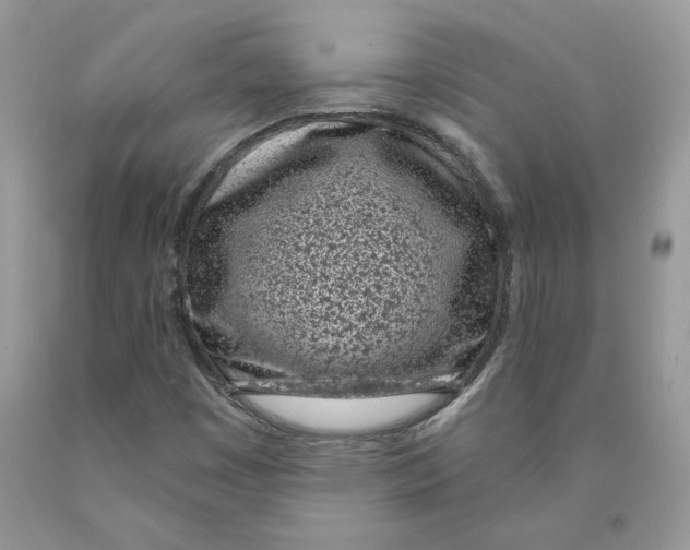 X0000089941449200707271809