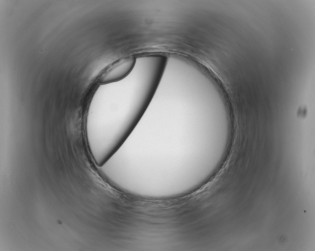 X0000089941450200707271809