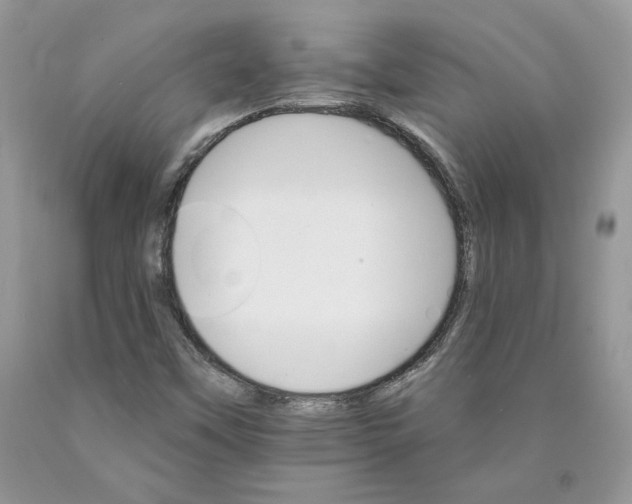 X0000089941451200707271809