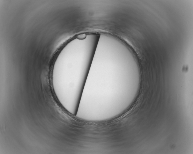 X0000089941452200707271809