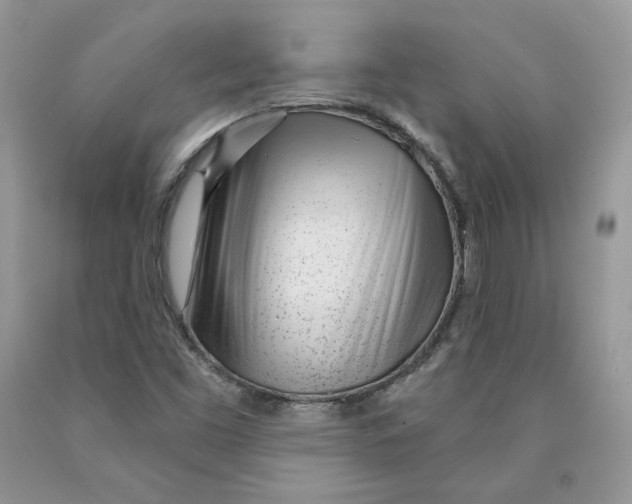X0000089941453200707271809