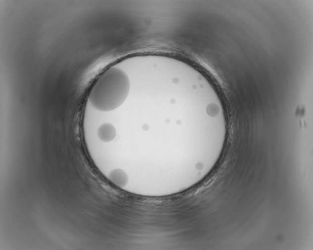 X0000089941455200707271809