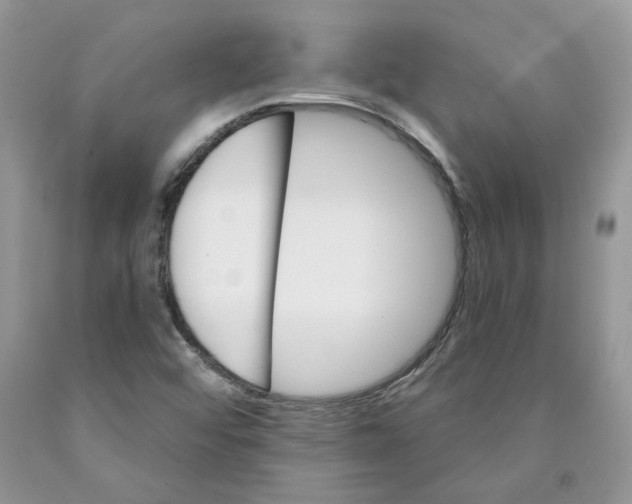 X0000089941456200707271809