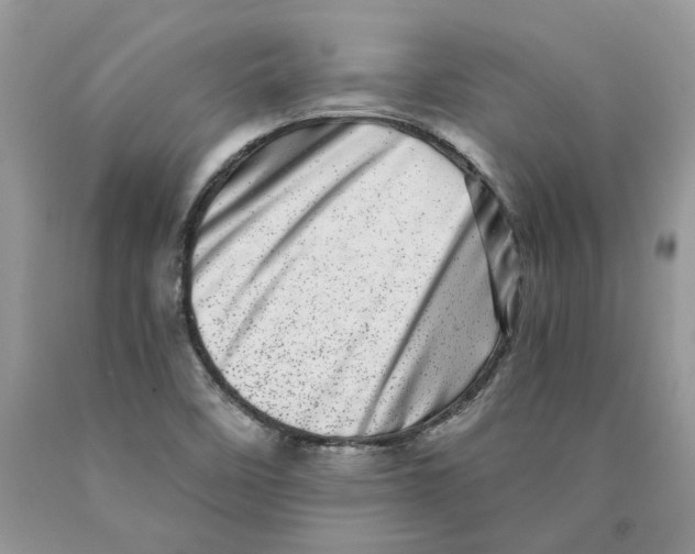 X0000089941458200707271809