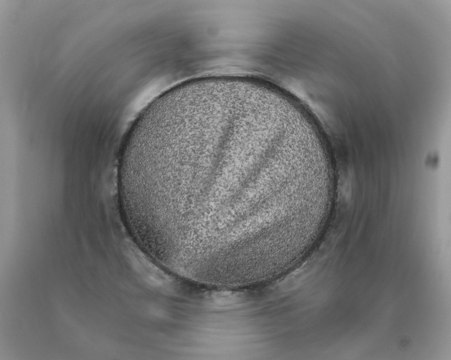 X0000089941459200707271809
