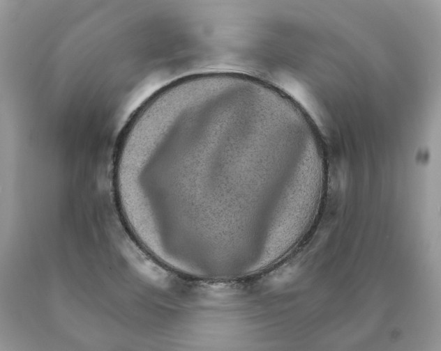 X0000089941460200707271808