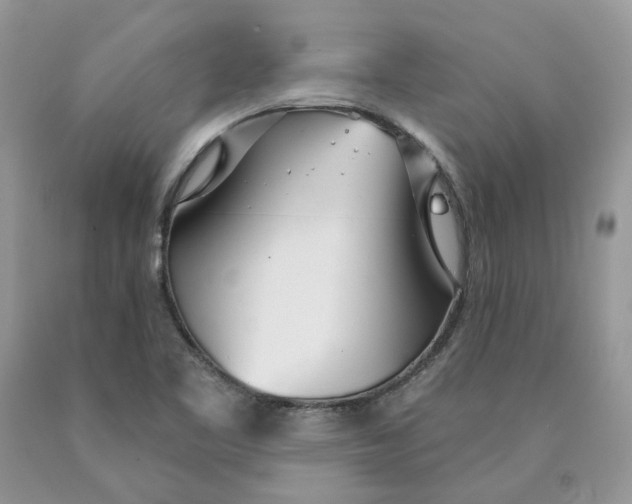 X0000089941461200707271808