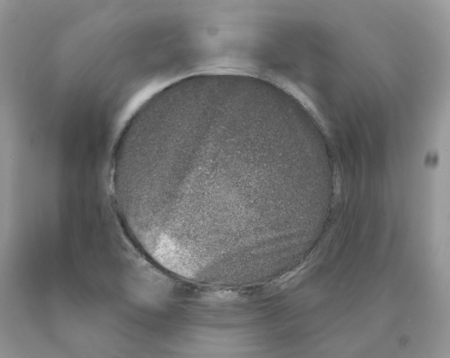 X0000089941462200707271808