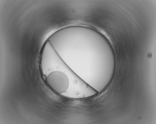 X0000089941463200707271808