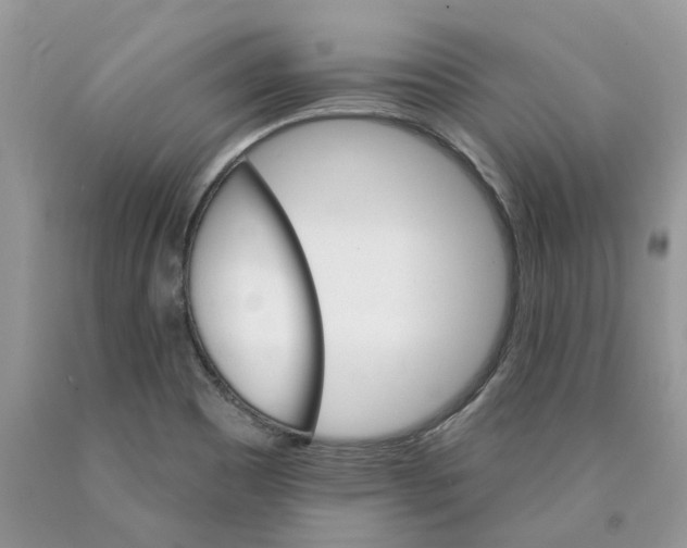 X0000089941465200707271808