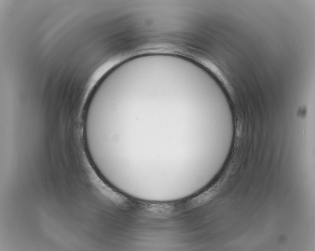X0000089941466200707271808