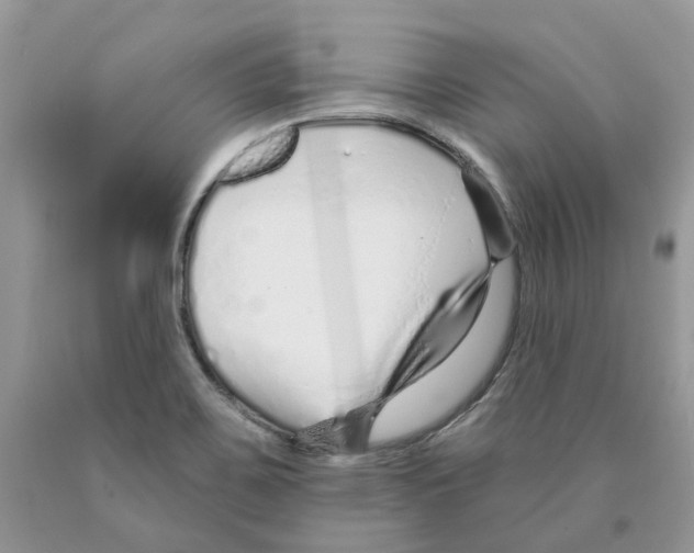 X0000089941467200707271808