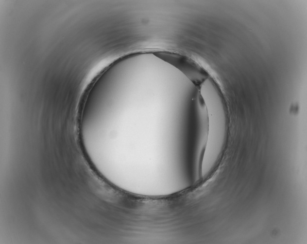 X0000089941469200707271808
