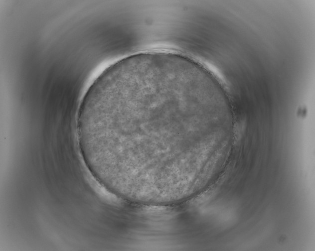 X0000089941470200707271808