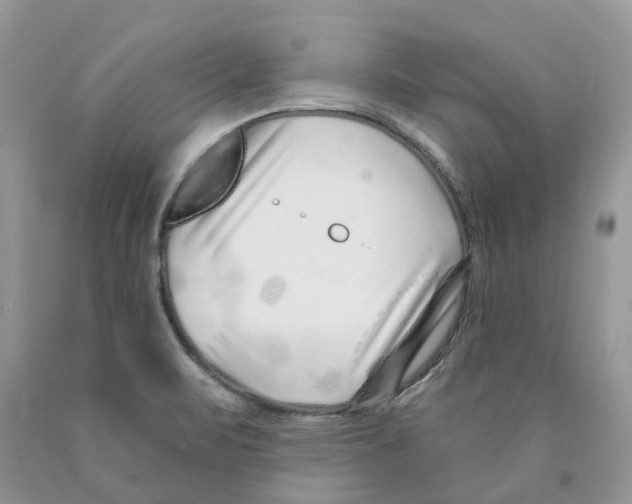 X0000089941471200707271808