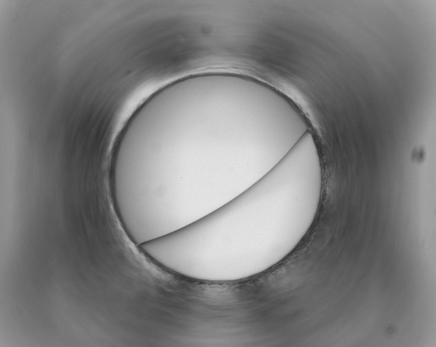 X0000089941472200707271808