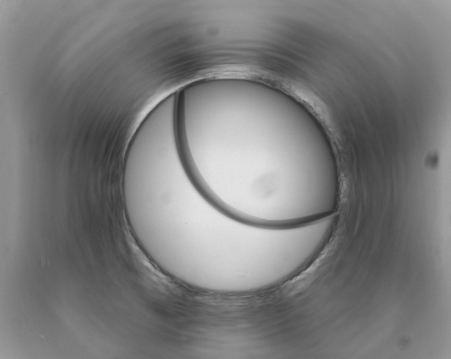 X0000089941473200707271808
