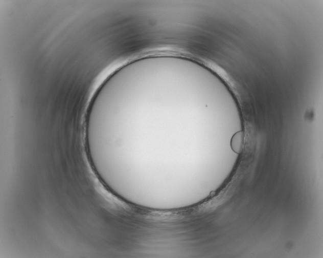 X0000089941474200707271808