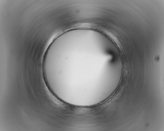 X0000089941475200707271808
