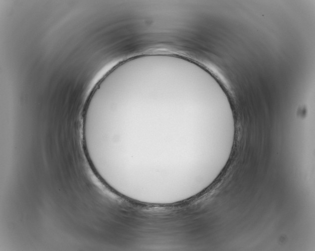X0000089941476200707271808