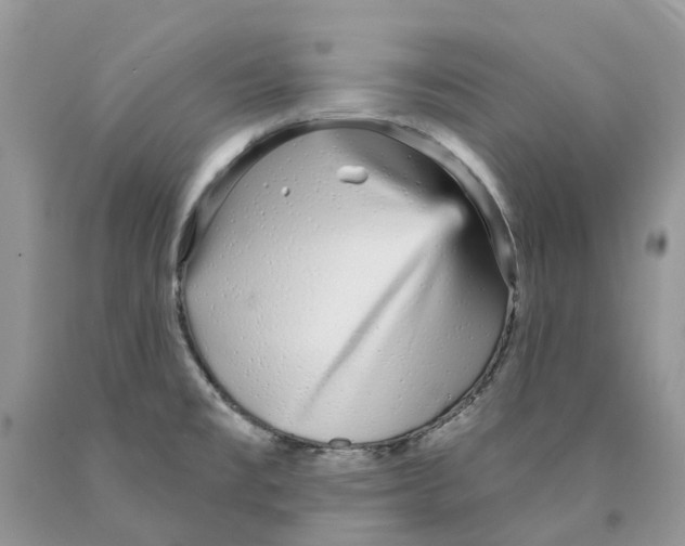 X0000089941477200707271808
