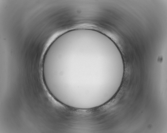 X0000089941478200707271808