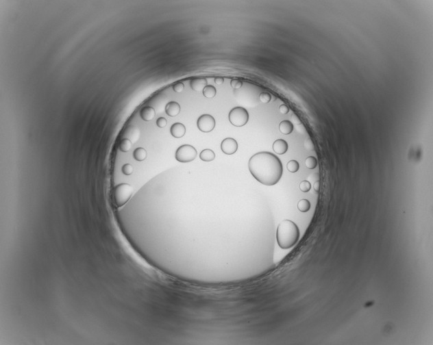 X0000089941479200707271808