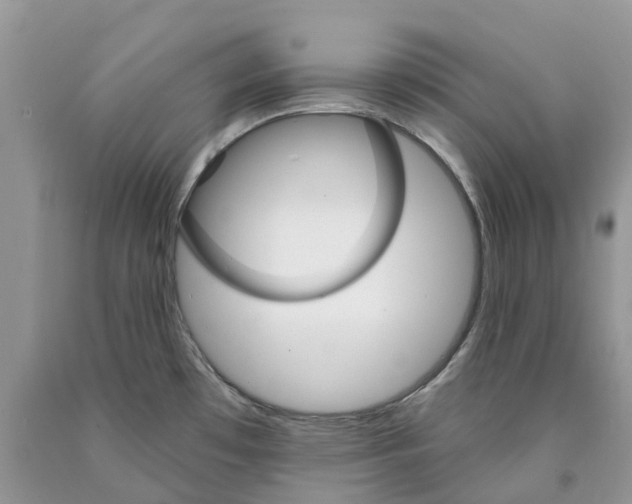 X0000089941481200707271808
