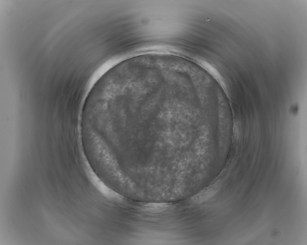 X0000089941482200707271808