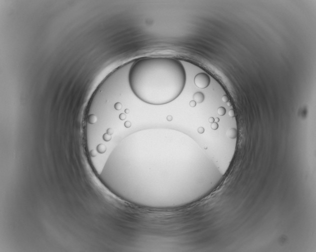 X0000089941483200707271808