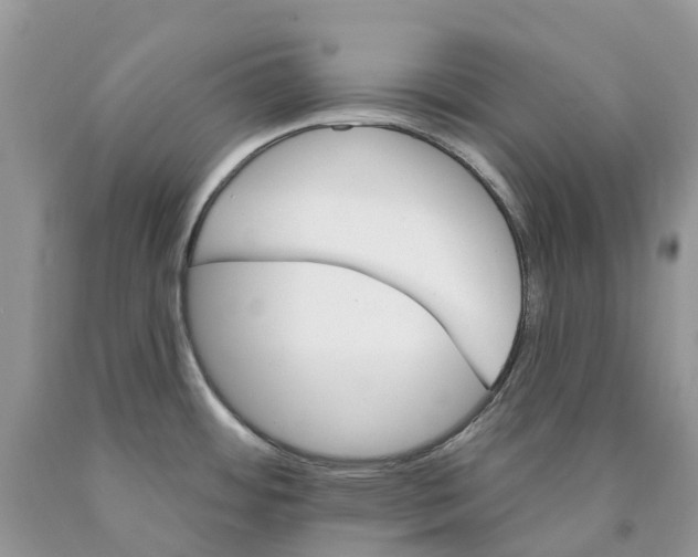 X0000089941484200707271808