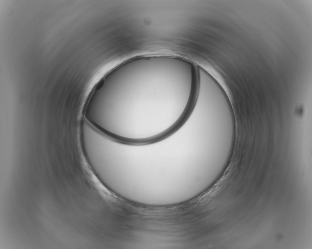 X0000089941485200707271808