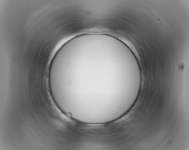 X0000089941486200707271808