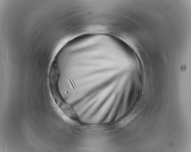 X0000089941488200707271808