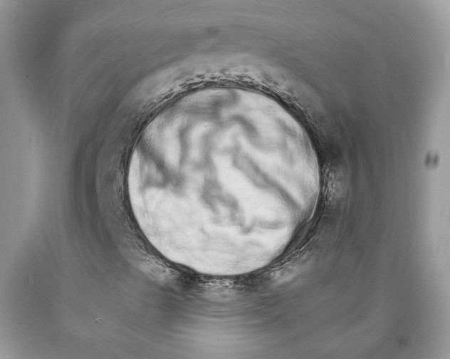 X0000089941489200707271807